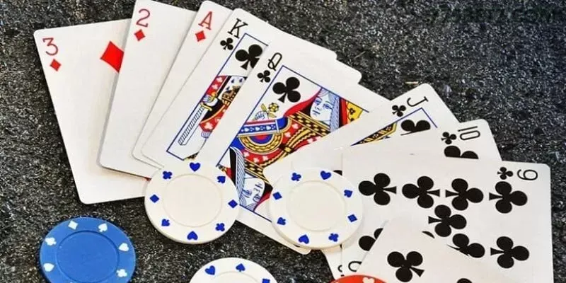 775bet multi dispositivo